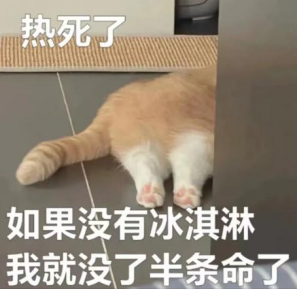 别光想着干饭,夏季警惕肠道传染病! 别光想着干饭,夏季警惕肠道传染病!