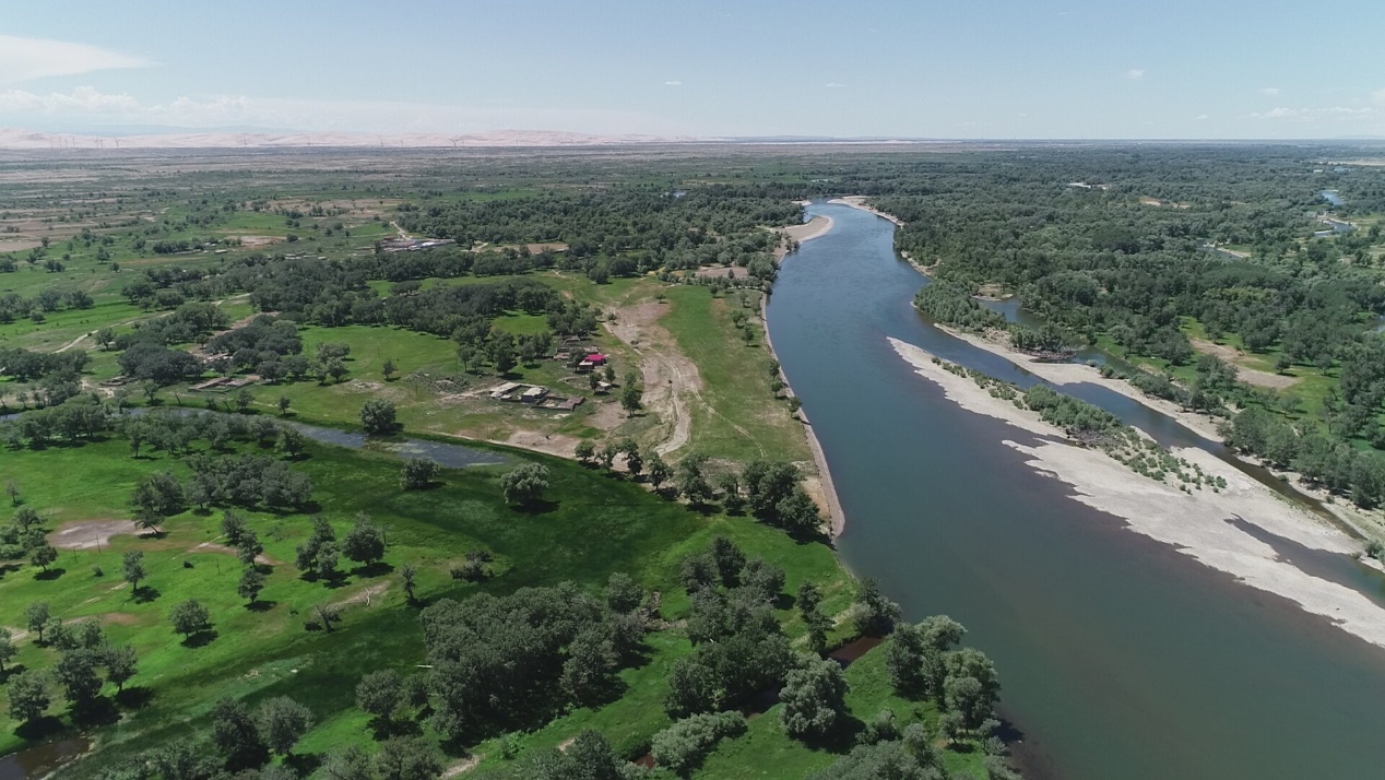 【一线调研·科考发现】这片“杨树基因库”,亟需加强生态保护! 【一线调研·科考发现】这片“杨树基因库”,亟需加强生态保护!